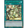 yu-gi-oh-tcg-mama-en083-ur-secret-village-of-the-spellcasters