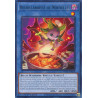yu-gi-oh-tcg-wisu-en029-r-buerillabaisse-de-nouvelles