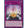 yu-gi-oh-tcg-wisu-en039-r-recette-de-personnel-staff-recipe