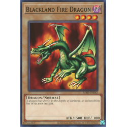 yu-gi-oh-tcg-mrd-en062-c-blackland-fire-dragon
