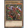 yu-gi-oh-tcg-mrd-en076-c-mystic-horseman