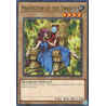 yu-gi-oh-tcg-mrd-en087-c-protector-of-the-throne