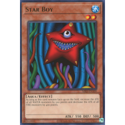 yu-gi-oh-tcg-mrd-en109-r-star-boy