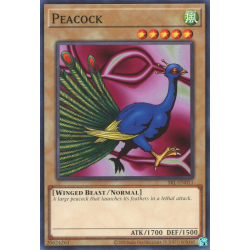 yu-gi-oh-tcg-srl-en011-c-peacock