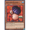 yu-gi-oh-tcg-srl-en020-c-weather-report