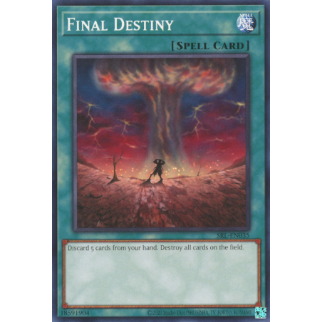yu-gi-oh-tcg-srl-en035-c-final-destiny