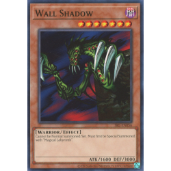 yu-gi-oh-tcg-srl-en056-c-wall-shadow