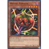 yu-gi-oh-tcg-srl-en094-r-mystic-tomato