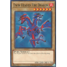 yu-gi-oh-tcg-psv-en042-c-twin-headed-fire-dragon