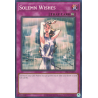 yu-gi-oh-tcg-psv-en055-c-solemn-wishes