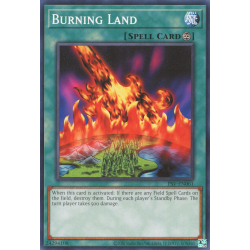 yu-gi-oh-tcg-psv-en061-c-burning-land
