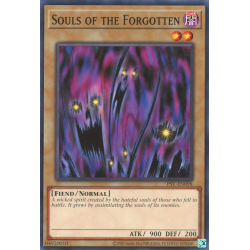 yu-gi-oh-tcg-psv-en098-c-souls-of-the-forgotten