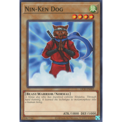 yu-gi-oh-tcg-dcr-en002-c-nin-ken-dog