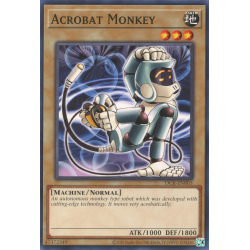 yu-gi-oh-tcg-dcr-en003-c-acrobat-monkey
