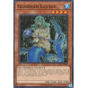 yu-gi-oh-tcg-dcr-en009-c-guardian-kay-est