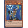 yu-gi-oh-tcg-dcr-en010-r-guardian-tryce