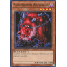 yu-gi-oh-tcg-dcr-en058-c-pandemonium-watchbear