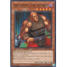 yu-gi-oh-tcg-dcr-en060-c-dark-scorpion-gorg-the-strong