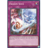 yu-gi-oh-tcg-dcr-en096-c-frozen-soul