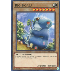 yu-gi-oh-tcg-ioc-en004-c-big-koala