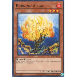 yu-gi-oh-tcg-ioc-en062-c-burning-algae
