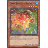 yu-gi-oh-tcg-ioc-en066-c-gora-turtle-of-illusion