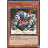 yu-gi-oh-tcg-ioc-en090-c-ryu-kokki