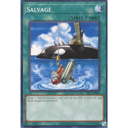 yu-gi-oh-tcg-ioc-en096-c-salvage
