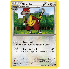 pokemon-tcg-79-115-miradar-uncommon-noir-blanc-black-white-blw