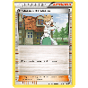 pokemon-tcg-101-115-professeur-keteleeria-uncommon-noir-blanc-black-white-blw