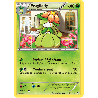 pokemon-tcg-5-102-fragilady-rare-nobles-victoires-black-white-nvi