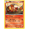 pokemon-tcg-18-102-aflamanoir-uncommon-nobles-victoires-black-white-nvi
