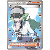 pokemon-tcg-101-102-n-ultra-rare-nobles-victoires-black-white-nvi
