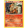 pokemon-tcg-10-103-caninos-common-destinees-futures-black-white-nxd