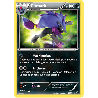 pokemon-tcg-102-103-zoroark-secret-rare-destinees-futures-black-white-nxd