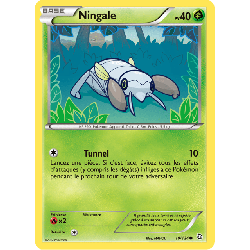 pokemon-tcg-10-128-ningale-common-dragons-exaltes-black-white-drx