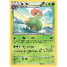 pokemon-tcg-4-153-joliflor-rare-frontieres-franchies-black-white-bcr