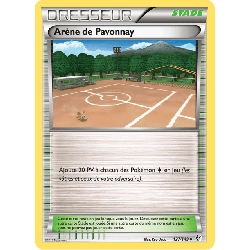 pokemon-tcg-127-153-arene-de-pavonnay-uncommon-frontieres-franchies-black-white-bcr