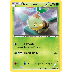 pokemon-tcg-1-138-tortipouss-common-tempete-plasma-black-white-pls