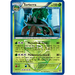 pokemon-tcg-3-138-torterra-rare-tempete-plasma-black-white-pls