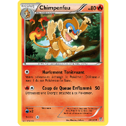 pokemon-tcg-16-138-chimpenfeu-uncommon-tempete-plasma-black-white-pls