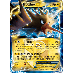 pokemon-tcg-48-138-electhor-ex-double-rare-tempete-plasma-black-white-pls