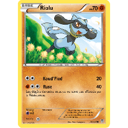pokemon-tcg-76-138-riolu-common-tempete-plasma-black-white-pls