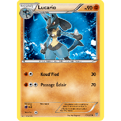 pokemon-tcg-77-138-lucario-uncommon-tempete-plasma-black-white-pls