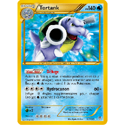 pokemon-tcg-137-138-tortank-secret-rare-tempete-plasma-black-white-pls
