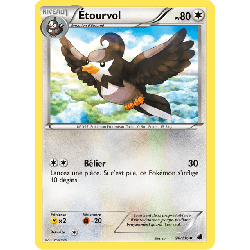 pokemon-tcg-96-122-etourvol-uncommon-glaciation-plasma-black-white-plf
