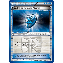 pokemon-tcg-104-122-badge-de-la-team-plasma-uncommon-glaciation-plasma-black-white-plf
