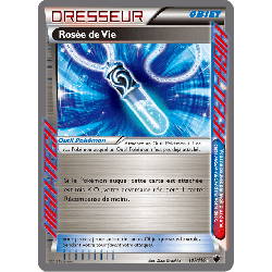pokemon-tcg-107-122-rosee-de-vie-ultra-rare-glaciation-plasma-black-white-plf