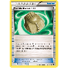pokemon-tcg-87-105-fossile-racine-lilia-uncommon-explosion-plasma-black-white-plb