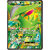 pokemon-tcg-96-105-viridium-ex-ultra-rare-explosion-plasma-black-white-plb
